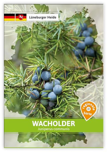 FLORTUS W5263 Wacholder (Regionale Sorte Lüneburger Heide) (Saatgut für Werbezwecke)