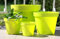 Wamat Blumenkübel Blumentopf Pflanzkübel Pflanztopf 4 Größen / 8 Farben S - XXLNeu!! (Durchmesser:15 cm, hellgrün)