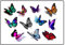 Schmetterling Butterfly Collection Sammlung (Schmetterling Butterfly Tattoo 3d)