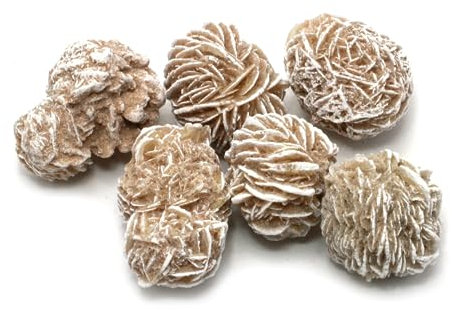 Desert Rose SPECIMEN – Medium