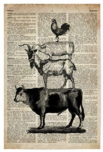 artboxONE Poster 30x20 cm Tiere Nutztiere - Wörterbuch hochwertiger Design Kunstdruck - Bild Tier Kuh nutztiere
