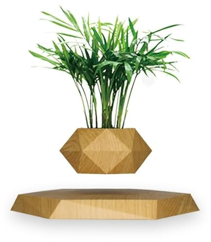 Pot de bonsaï à lévitation, Pot de Fleurs Flottant for Petites Plantes, Pot de bonsaï à air Flottant Hexagonal for décoration de Bureau et de Maison