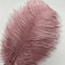 Sowder 10pcs Strauß-Federn 12-14inch (30-35cm) für Haupthochzeits-Dekoration (Dusty Rose)