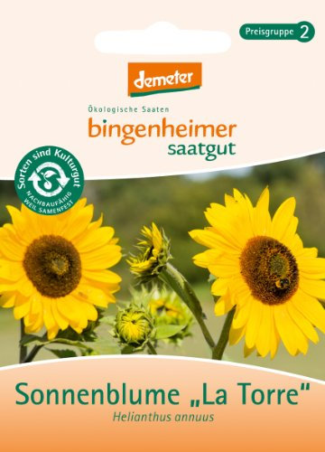 Bingenheimer Saatgut - Sonnenblume La Torre - Blumen Saatgut / Samen