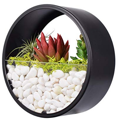 Murale Planteur,DéCoration Mur Pots à Suspendre MéTal Ronde Pots De Fleurs à Suspendu Verre Mural JardinièRe Clair Vase pour Artificielles Fleur,Cactus,Succulentes,DéCor pour Salon Salle à Manger