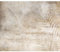 murando Fototapete Premium-Vlies Palmenblätter 100x70cm Foto Tapete Schlafzimmer Wohnzimmer Vliestapete XXL Wandtapete Motivtapeten Bildtapete 3d Effekt Wand Dekoration Palmen Natur Betonoptik beige