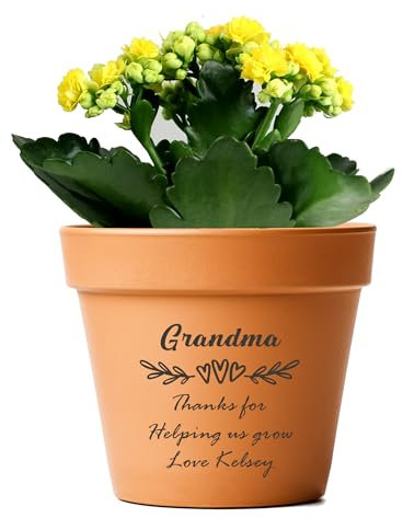 EDSG Personalised Terracotta Plant Pots Clay Flower Plant Pots Planters with Drainage 7 In Hole Succulent Pots Anniversary Birthday Wedding Gifts for Mum Women House Home Garden Decor(Design 1)