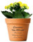 EDSG Personalised Terracotta Plant Pots Clay Flower Plant Pots Planters with Drainage 7 In Hole Succulent Pots Anniversary Birthday Wedding Gifts for Mum Women House Home Garden Decor(Design 1)