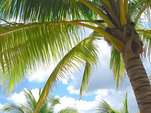 Mission Impossible Dead Reckoning 2 Poster A1 - Filmkonstaffisch i olika storlekar för vardagsrums- eller sovrumsidéer. Kantlösa kultfilmsbilder Klassiskt ikoniskt 70-tal 80-tal 90-tal Vintage Retro