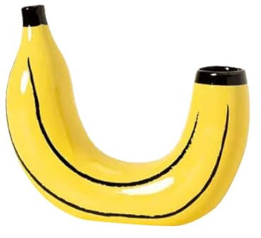 Bamberg Einfache Bananen-Vase Blumenarrangement, Vase Als Dekoration für Wohnzimmer und Esszimmer mit Rahmen.