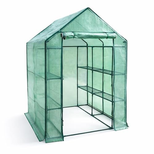 Floordirekt Tomatenhaus Biotopia 143x143x195 cm – Foliengewächshaus mit 6 Regalebenen & 12 Regalböden – UV- & witterungsbeständig – Tomatengewächshaus mit Reißverschluss & Stahlgestell
