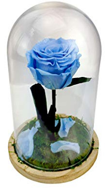 Mundo Eterno | Cúpula Bella y Bestia con Rosa Eterna Preservada Azul Claro | Rosa Natural 22x12 cm | Regalo Romántico y Decoración del Hogar | Sin Agua ni Mantenimiento