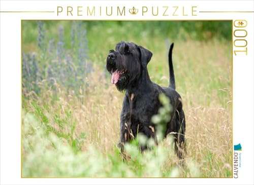 CALVENDO Puzzle Riesenschnauzer - schwarz | 1000 Teile Lege-Größe 64 x 48 cm Foto-Puzzle für glückliche Stunden