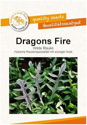Salatsamen Dragons Fire Rucola Portion