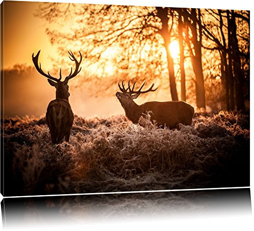 Pixxprint Hirsch Rivalen kämpfen, Größe: 120x80cm, Leinwandbild, fertig gespannt, Wandbild, Dekoration, Kunstdruck, kein Poster