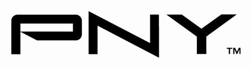 PNY Technologies - VCQP600-SB Quadro P600 Graphic Card - 2 GB GDDR5 - Low-Profile - Single Slot Space Required - 128 bit Bus Width - Fan Cooler - 4 x Mini DisplayPort - PC - 4 x Monitors