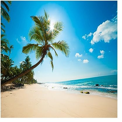 YongFoto 2x2m Vinyl Foto Hintergrund Strand Meer Küste Landschaft Blauer Himmel Weiße Wolken Palme Fotografie Hintergrund für Fotos Fotoshooting Baby Party Banner Kinder Fotostudio Requisiten