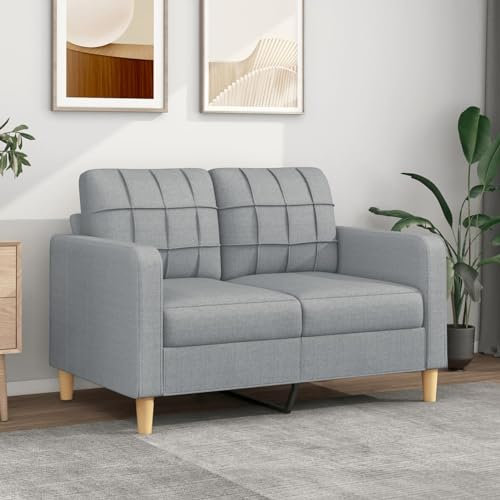 SECOLI 2 Sitzer Sofa, Stoff Kleines Couch, Modern 2er Gästesofa mit Armlehne, Sofa 2 Seater, Couch 2 sitzerfür Wohnzimmer/Schlafzimmer/Büro/Wohnung, 120 cm, Hellgrau