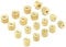 5-50pcs Knurled Thumb Nuts Hand Grip Knobs Nut M2 M2.5 M3 M4 Knurled Brass Thumb Nut Brass Knurled Nut Cylindrical Adjust Nut(10pcs,M2.5)