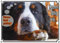 Petsigns Hunde Warnschild Berner Sennenhund mit lustigem Spruch - 1a Metallschild, DIN A4