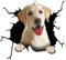 4er Set 3D Hund Aufkleber Autoaufkleber, Lustiger Hund im Riss Vinyl Wandaufkleber, Auto Dekoration Für Autofenster Stoßfänger, Lustige Deko Styling Süß Decal Heckscheibendekor
