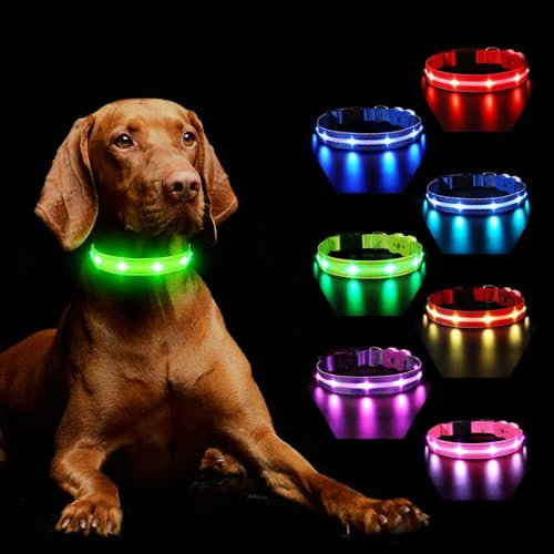 Light Up Dog Collar Rechargeable, LED Dog Collar Lights with 7 Colors Change 8 Lighting Modes Glow in the Dark, Adjustable Waterproof Flashing Collar for Small Medium Large Dog, Green L