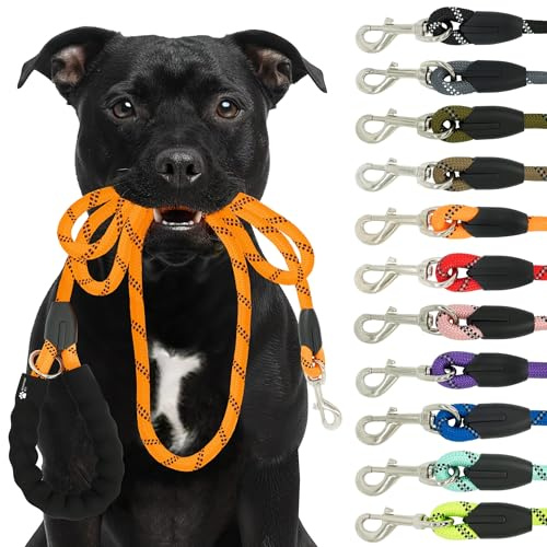 Reichstadt Pets Hundeleine 25RSP084 Orange 1,5m | Weiches Nylon mit EVA-Griff, reflektierend, drehbarer Metallhaken | robuste Führleine für kleine, mittelgroße, große Hunde