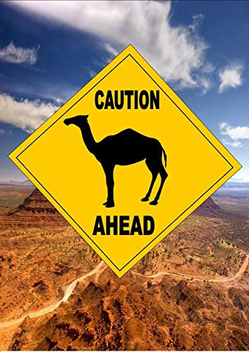 BCTS Panneau de signalisation routière de style australien avec inscription « Caution Camel Ahead » en métal humoristique pour traverser le trafic fantaisie carré 30,5 x 30,5 cm