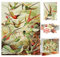 1000 Teile Puzzles für Erwachsene, Hummingbird/Garden/Darrell Bush Canoe Lake/Night Aurora Light Puzzle, Puzzles 1000 Teile Erwachsene, Hund Katze Meer Welt Schildkröten Puzzle für Kinder
