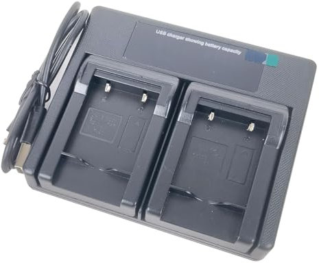 USB Dual Batterie Chargeur pour NP-45 NP45 NP-45A NP-45B NP-45S Li-40B Li-42B EN-EL10 KLIC-7006 NP-80 NP-82 D-Li63 D-Li108 FinePix Exilim Easyshare Optio Xacti Series Digital Camera