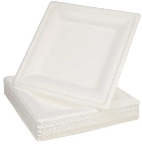 Cabilock 50 Pièces Assiettes Jetables Carrées Plateaux De Service Assiettes à Dessert Vaisselle Jetable Pour Pique- Et Fête Planes