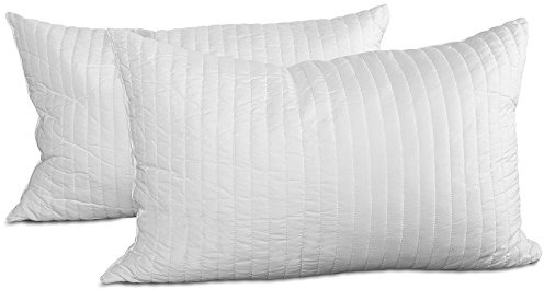 EVERGREENWEB 2er Set Memory Foam Kissen für Betten oder Sofas (Lieferung 24h, 2er Set Memory 30x50cm)