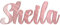 Any Name Text Wooden Colour Personalised Mirror Bedroom Nursery Hanging Door Sign Wall Decoration Plaque (Font Style 2, Rose Gold Mirror)