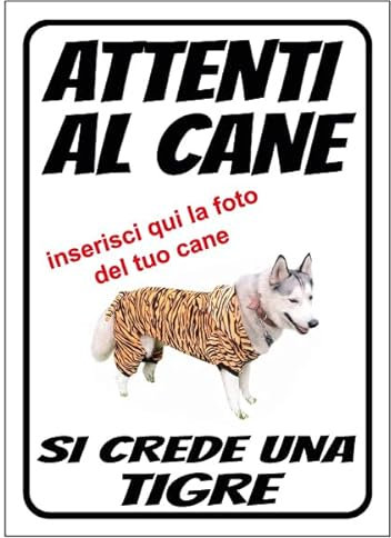 Cartello Attenti al Cane Personalizzato 18x25cm, Made in Italy - Attenti al Cane Targhetta Personalizzabile con Foto, Cartello in Forex Rigido 3mm - Protezione al Raggi UV e Colori Vividi - Tigre