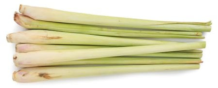 200 pcs zitronengras pflanze kaufen samen - ausgefallene geschenke exotische,Cymbopogon citratus, kräuterlinge plant winterharte pflanzen für garten kräuterbeet winterfeste pflanzen
