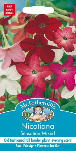Mr. Fothergill's Nicotiana Sensation Mixed Flower Seeds