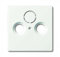 Busch-Jaeger Cover for Antenna Sockets, Sockets 2 Ports 884