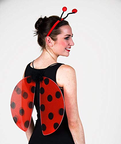 Festartikel-Müller Marienkäferflügel im Set Tierkostüm Marienkäfer Junikäfer