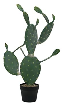 Europalms Nopal Cactus artificiel 76 cm