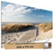 TRIOSK Sichtschutz Garten Dekoration Plane groß mit Motiv Strand Holzweg Dünen Langeoog Motivbanner Blickdicht für Terrasse Zaun Gartenzaun Gartenposter PVC Zaunblende 340x173 cm