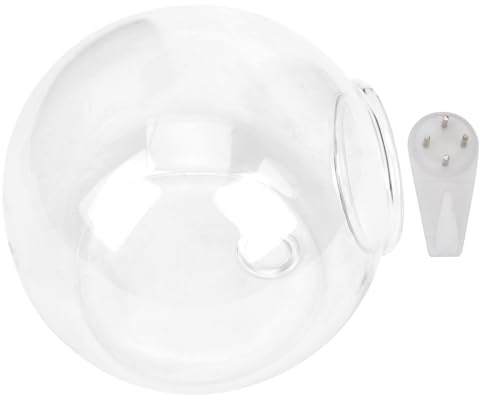 TIDTALEO Pot de Fleurs en Verre Transparent Suspendu Mural, Facile à Décorer Ranger, pour Décoration Maison et Chambre, Vase Hydroponique Élégant