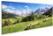 islandburner Bild auf Leinwand Karwendelgebirge Österreich Alpen Bilder Wandbilder Poster