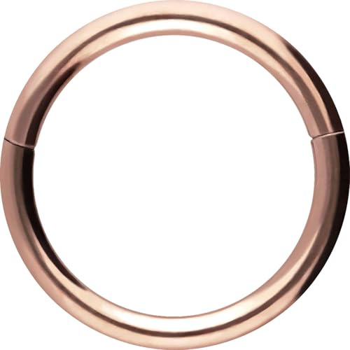 PIERCINGLINE Segmentring Clicker aus Chirurgenstahl - Piercing Ring in Gold, Silber, Rose, Schwarz oder Blau - für Nase, Septum, Ohr, Helix oder Tragus