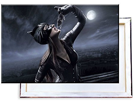 Unified Distribution Catwoman - 60x40 cm - Bilder & Kunstdrucke fertig auf Leinwand aufgespannt und in erstklassiger Druckqualität