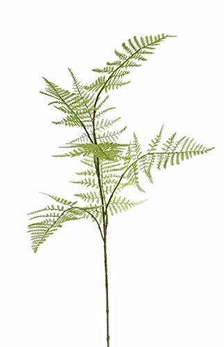artplants.de Deko Zweig Asparagus plumosus Zweig Haydon, gelb, 85cm - Kunstzweig