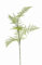 artplants.de Deko Zweig Asparagus plumosus Zweig Haydon, gelb, 85cm - Kunstzweig