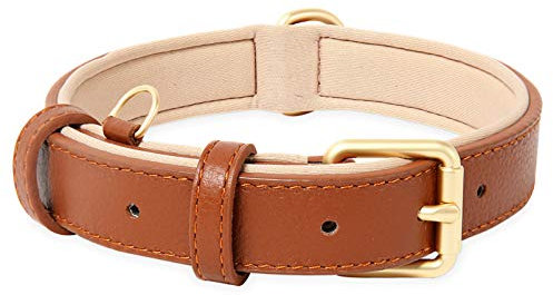 HEELE Hundehalsband, Hundehalsband Leder Hundehalsband mit gepolstert und echtes Leder, Verstellbar, Halsband für Welpen Kleine Mittel Große Hunde, Braun, XS