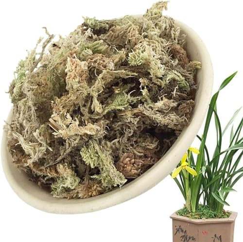 Youning Sphagnum Moos 6L/12L Natürliches Torfmoos Substrat Spagnummoos für Pflanzen, Bonsai, Orchideen Sphagnum Moos Substrat Get Trocknen Wassermoos Trockenmoos Wasser Gras Substrat (12L)