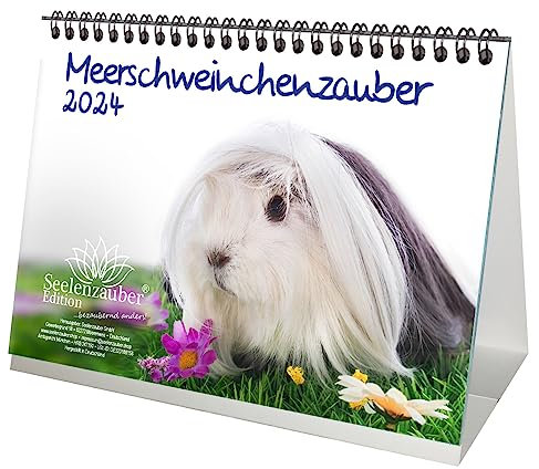 Meerschweinchenzauber DIN A5 Tischkalender für 2024 Meerschweinchen - Geschenkset Inhalt: 1x Kalender, 1x Weihnachtskarte (insgesamt 2 Teile)