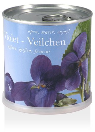 MacFlowers® | Kleines Anzuchtset mit Veilchen | Geschenk Set mit Einer Sorte Samen in süßer instant Blumendose